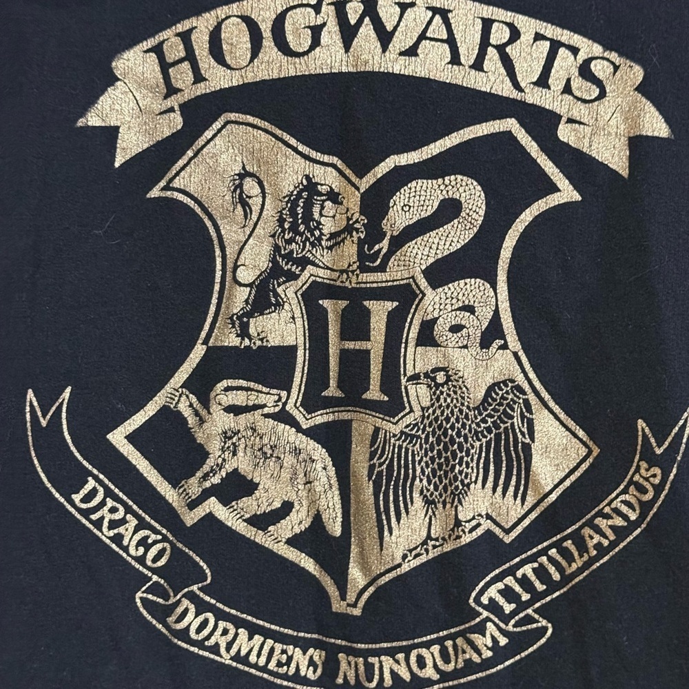 Black and Gold Hogwarts Crest Hoodie Sweatshirt - Picture 2 of 7